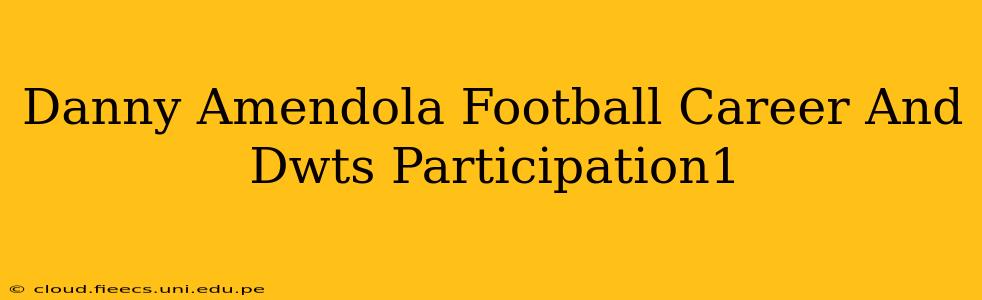 Danny Amendola Football Career And Dwts Participation1