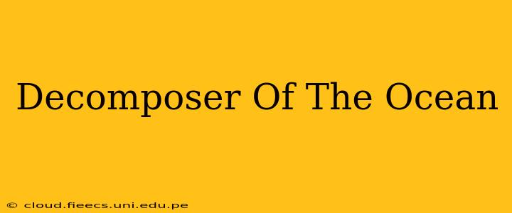 Decomposer Of The Ocean