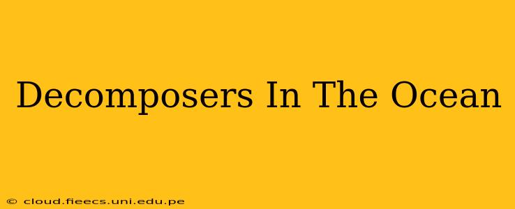 Decomposers In The Ocean