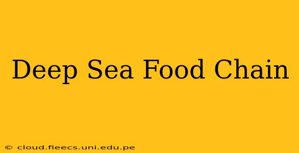 Deep Sea Food Chain