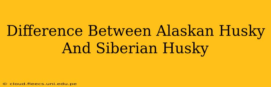 Difference Between Alaskan Husky And Siberian Husky