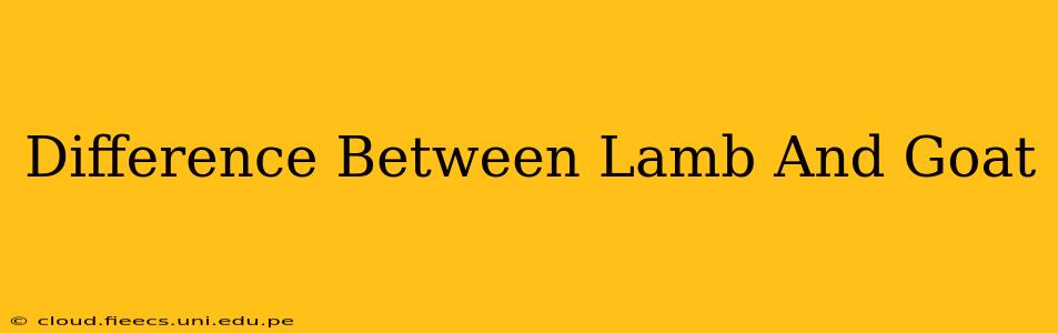 Difference Between Lamb And Goat