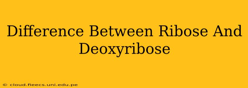 Difference Between Ribose And Deoxyribose