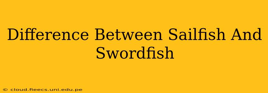 Difference Between Sailfish And Swordfish