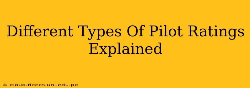 Different Types Of Pilot Ratings Explained