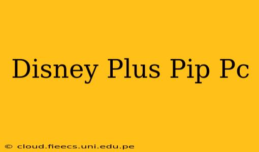 Disney Plus Pip Pc
