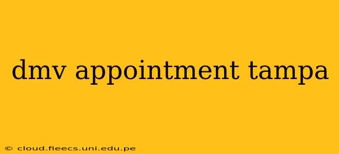 dmv appointment tampa
