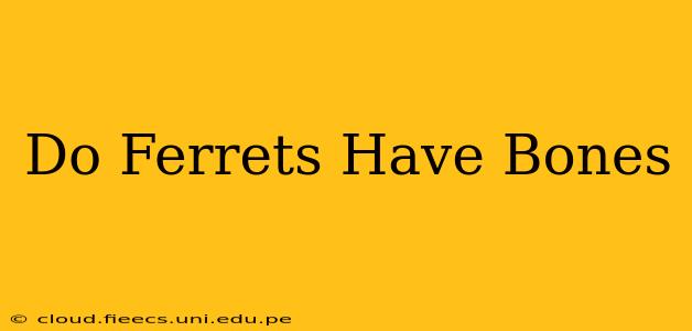 Do Ferrets Have Bones