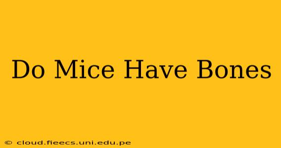 Do Mice Have Bones
