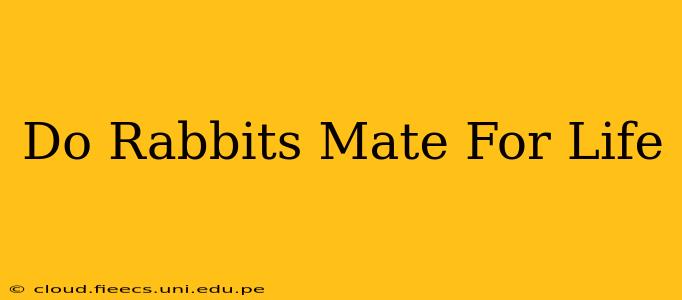 Do Rabbits Mate For Life
