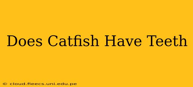 Does Catfish Have Teeth