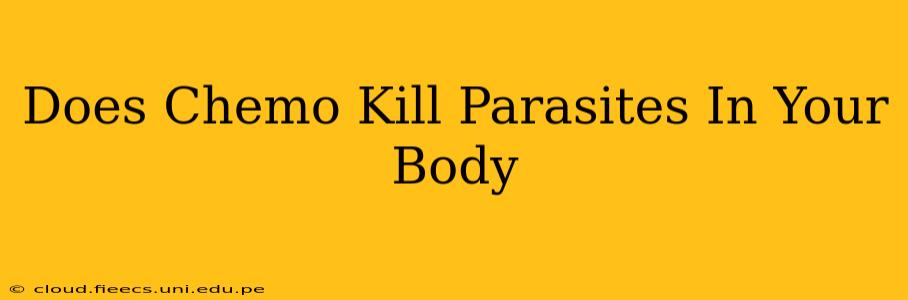 Does Chemo Kill Parasites In Your Body