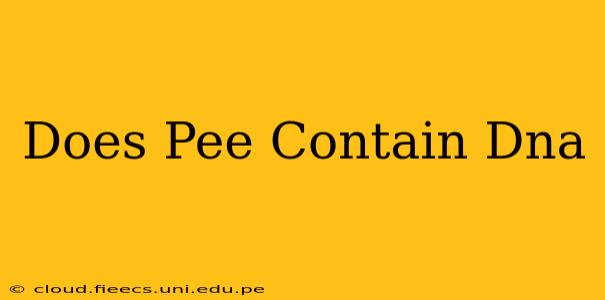 Does Pee Contain Dna