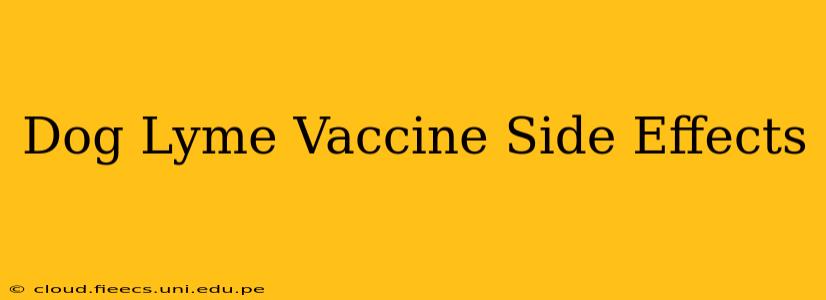 Dog Lyme Vaccine Side Effects