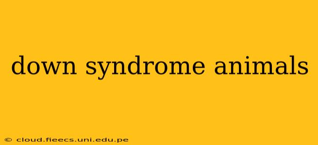 down syndrome animals