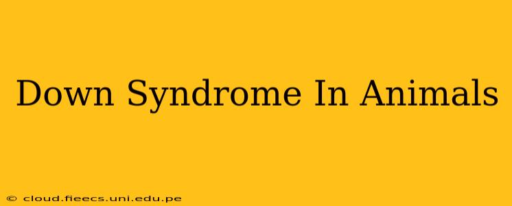 Down Syndrome In Animals