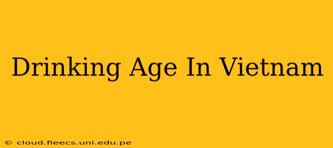 Drinking Age In Vietnam
