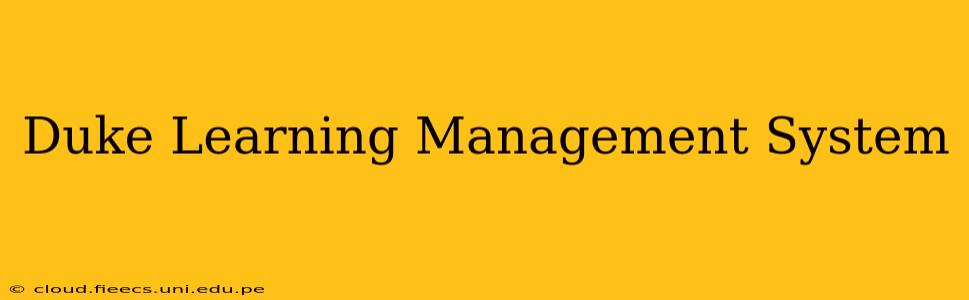 Duke Learning Management System