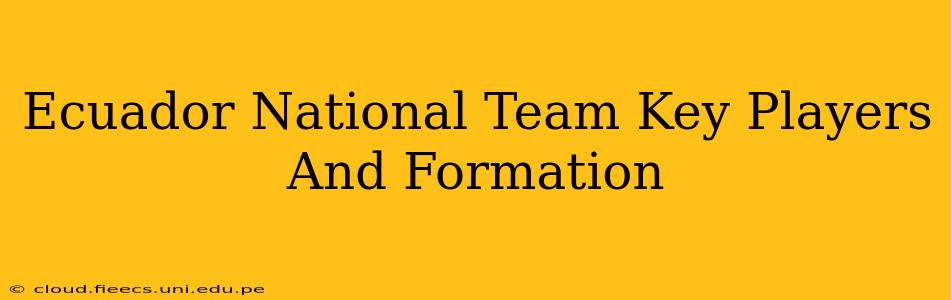 Ecuador National Team Key Players And Formation