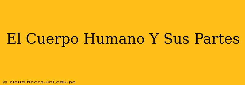 El Cuerpo Humano Y Sus Partes