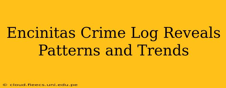 Encinitas Crime Log Reveals Patterns and Trends