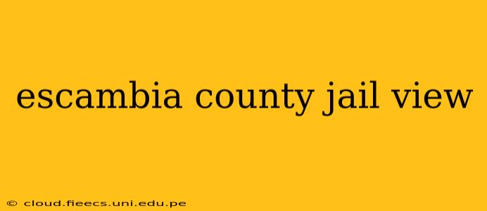 escambia county jail view