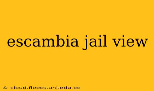 escambia jail view