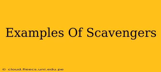 Examples Of Scavengers