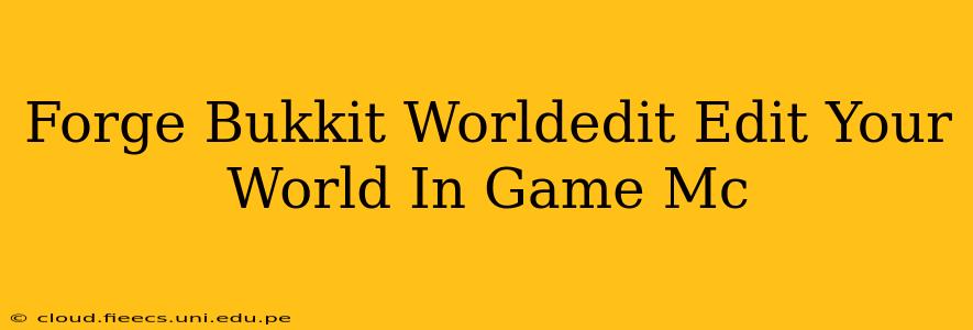 Forge Bukkit Worldedit Edit Your World In Game Mc