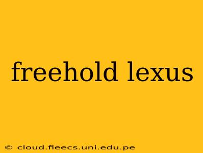freehold lexus