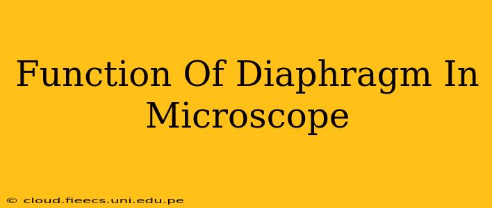 Function Of Diaphragm In Microscope