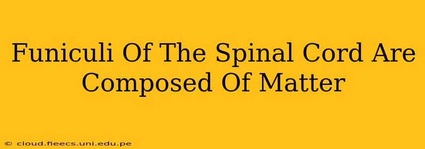Funiculi Of The Spinal Cord Are Composed Of Matter