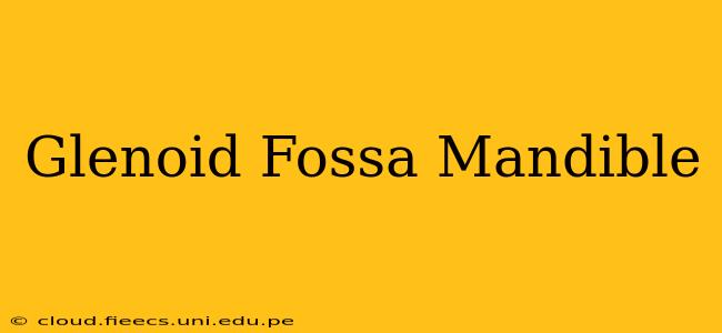 Glenoid Fossa Mandible