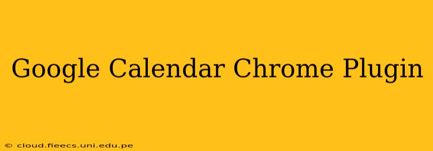Google Calendar Chrome Plugin