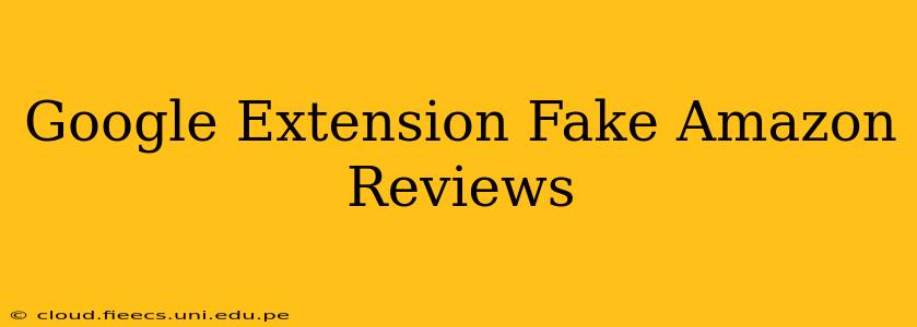 Google Extension Fake Amazon Reviews
