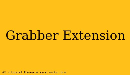 Grabber Extension