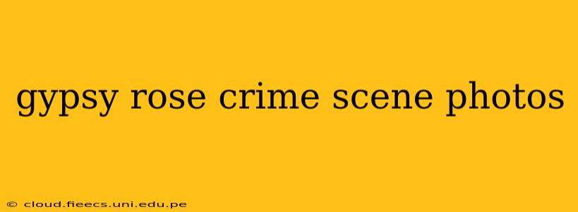 gypsy rose crime scene photos