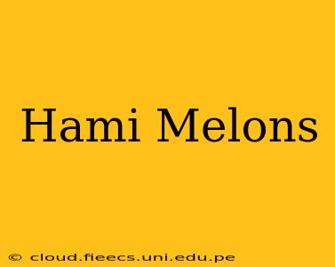 Hami Melons