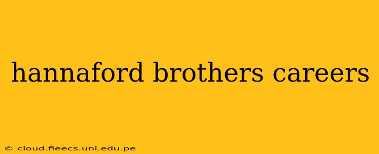 hannaford brothers careers