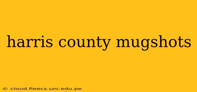 harris county mugshots