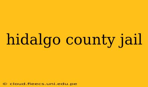 hidalgo county jail