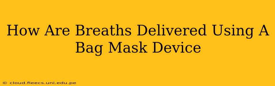 How Are Breaths Delivered Using A Bag Mask Device