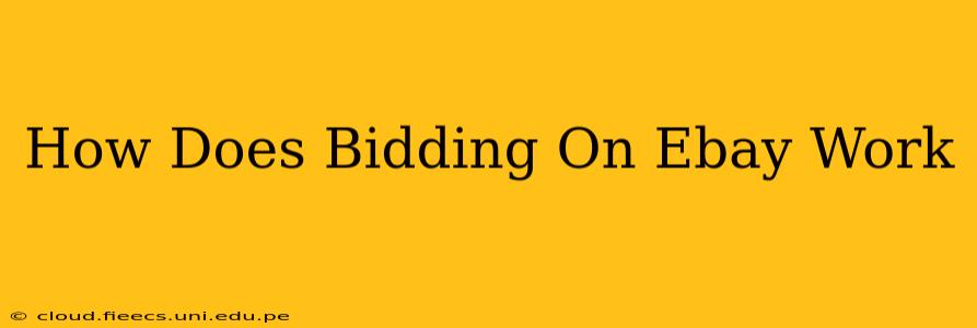 How Does Bidding On Ebay Work