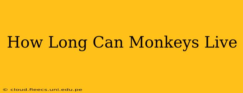 How Long Can Monkeys Live