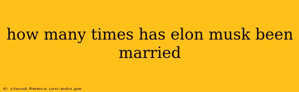 how many times has elon musk been married