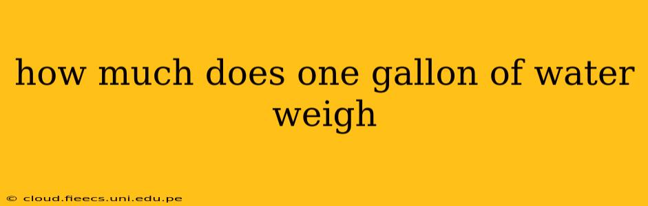 how much does one gallon of water weigh