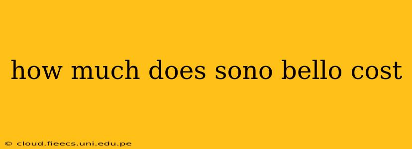 how much does sono bello cost