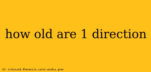 how old are 1 direction