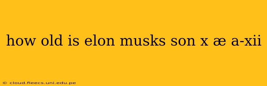 how old is elon musks son x æ a-xii