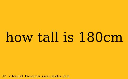 how tall is 180cm